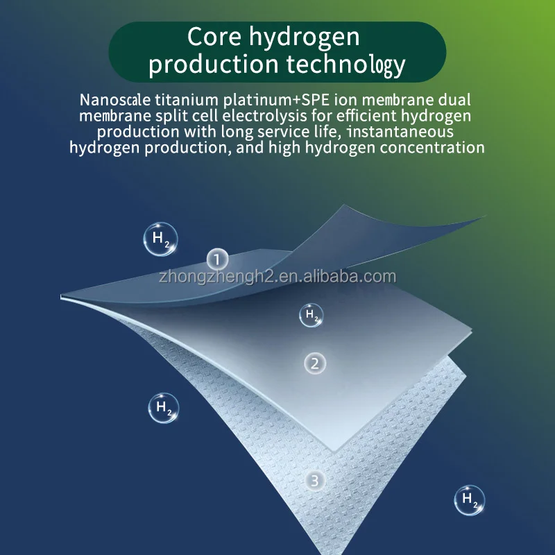 Wasserspender Rich Water Maker Generator Machine Kangen Ionisiertes Wasser