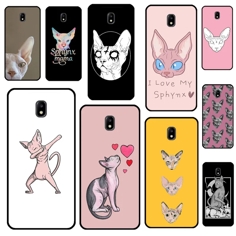 Sphynx Cat For Sams…