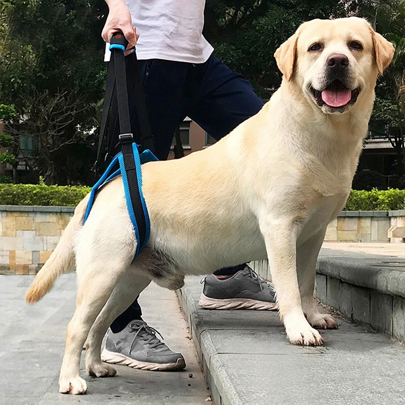 

Adjustable Pet Back Leg Support Sling Convenient Outdoor Leash Elderly Disabled Dogs Walking Aid Cat Rehabilitation Accessories