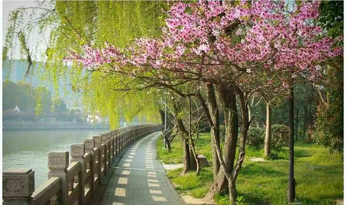 

Шасси-броня из нержавеющей стали 304 для радиоуправляемого краулера 1/7 Wrangler CK5811 - Сверхпрочная, ударопрочная, запчасти для тюнинга, для бездорожья и скалолазания