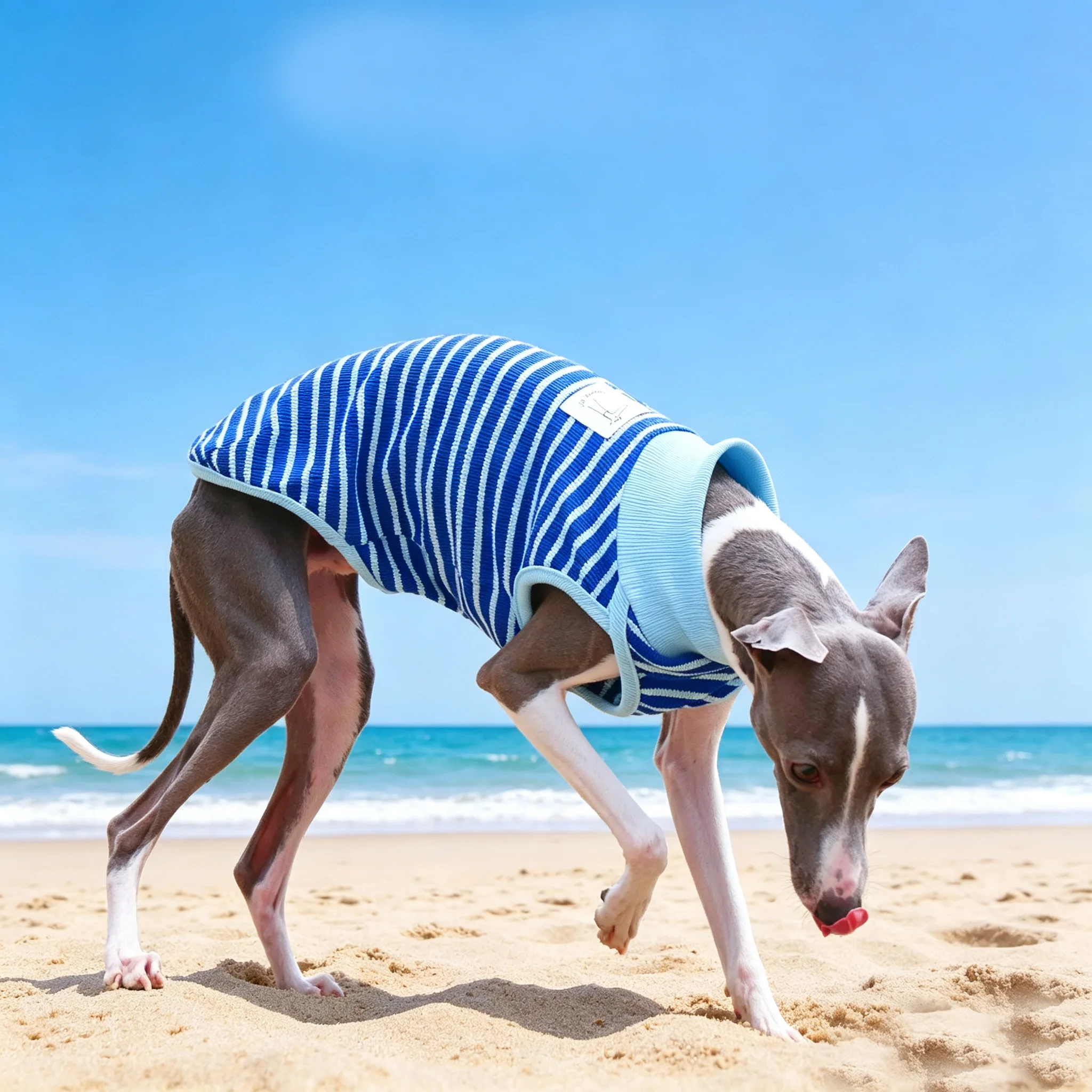 Camiseta solar UV para galgo italiano y Whippet – Transpirable verano - imagen 2