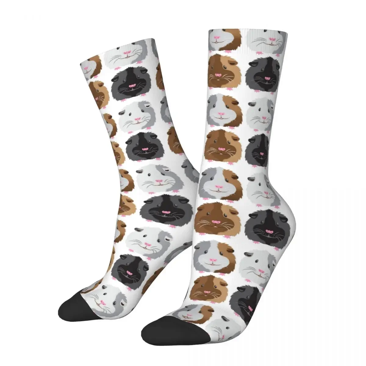 Chaussettes longues toutes saisons pour hommes et femmes, quatre cochons d'Inde, bas Harajuku, accessoires pour cadeaux, haute qualité