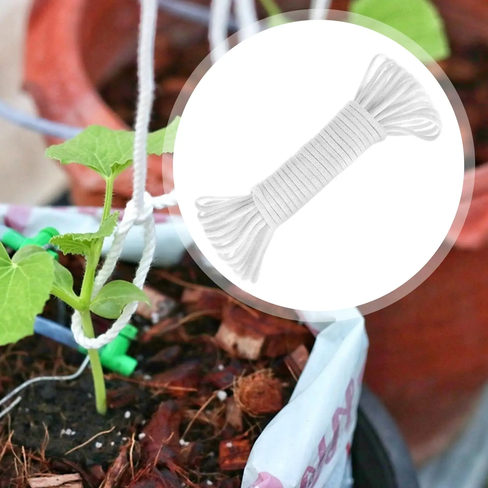 Potted Violet Auto Seedling Waterer Rope Self Watering Wick Cord for Home Office Indoor Hanging Pots