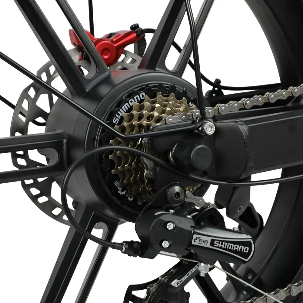 DUOTTS F20 المزدوج تعليق الكبار الدراجة الجبلية الإلكترونية 52 فولت 27 أمبير بطارية 750 واط موتور 20*4.0 الدهون الإطارات على الطرق الوعرة دراجة كهربائية