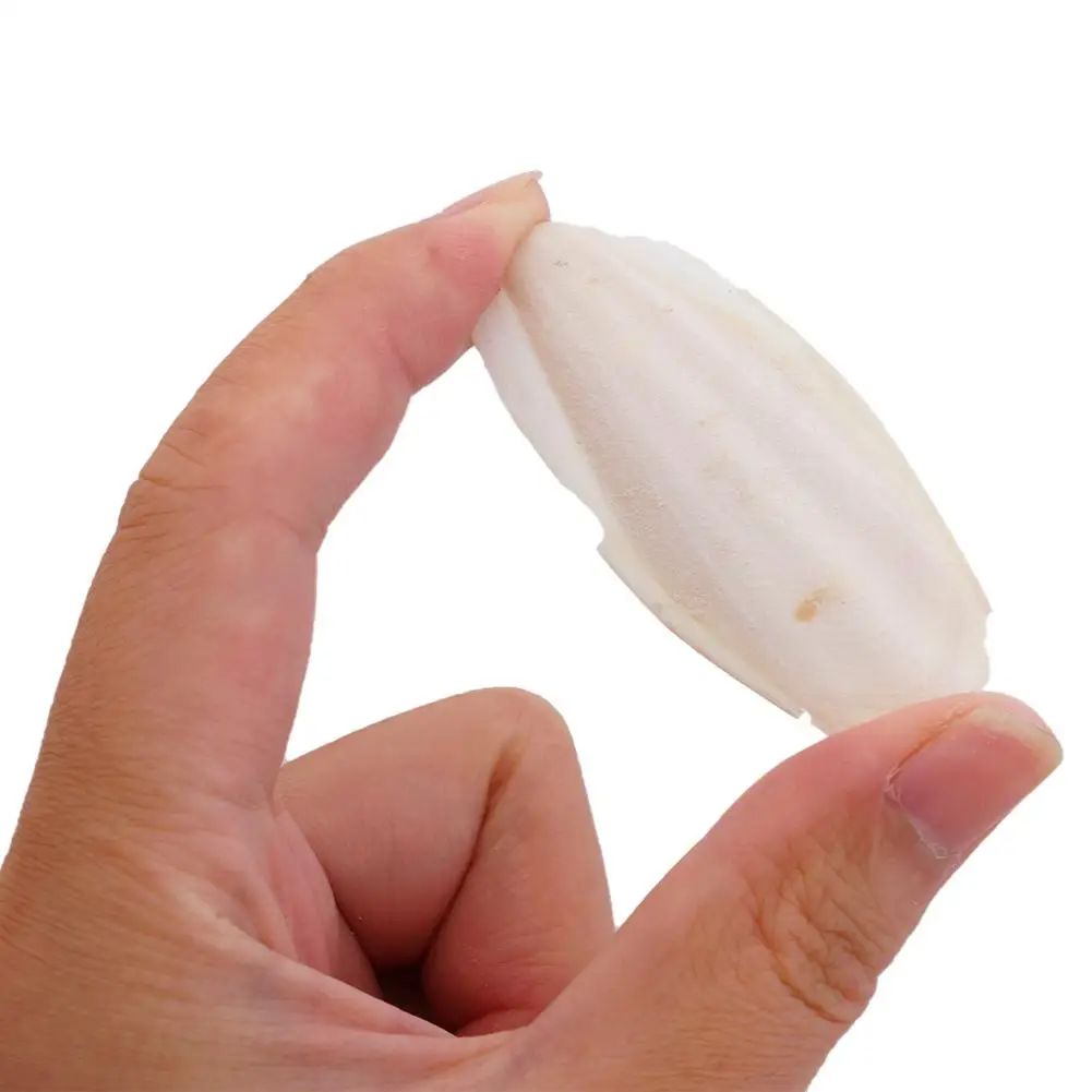 Natürliches Kaulquappenknochen-Kauspielzeug für Papageien, Wellensittiche, Hamster und Kleintiere, zum Zähneputzen, Kalziumergänzung, Vogelzubehör, gesund – Detail 5