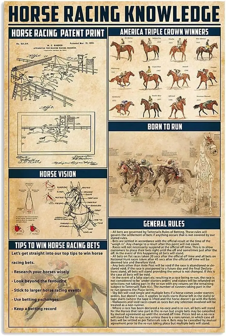 Starotore Horse Racing Knowledge Metal Tin Signs Equestrian Lovers Poster Aluminum Signs Decor Club Decor Farm Wall Decorat sign