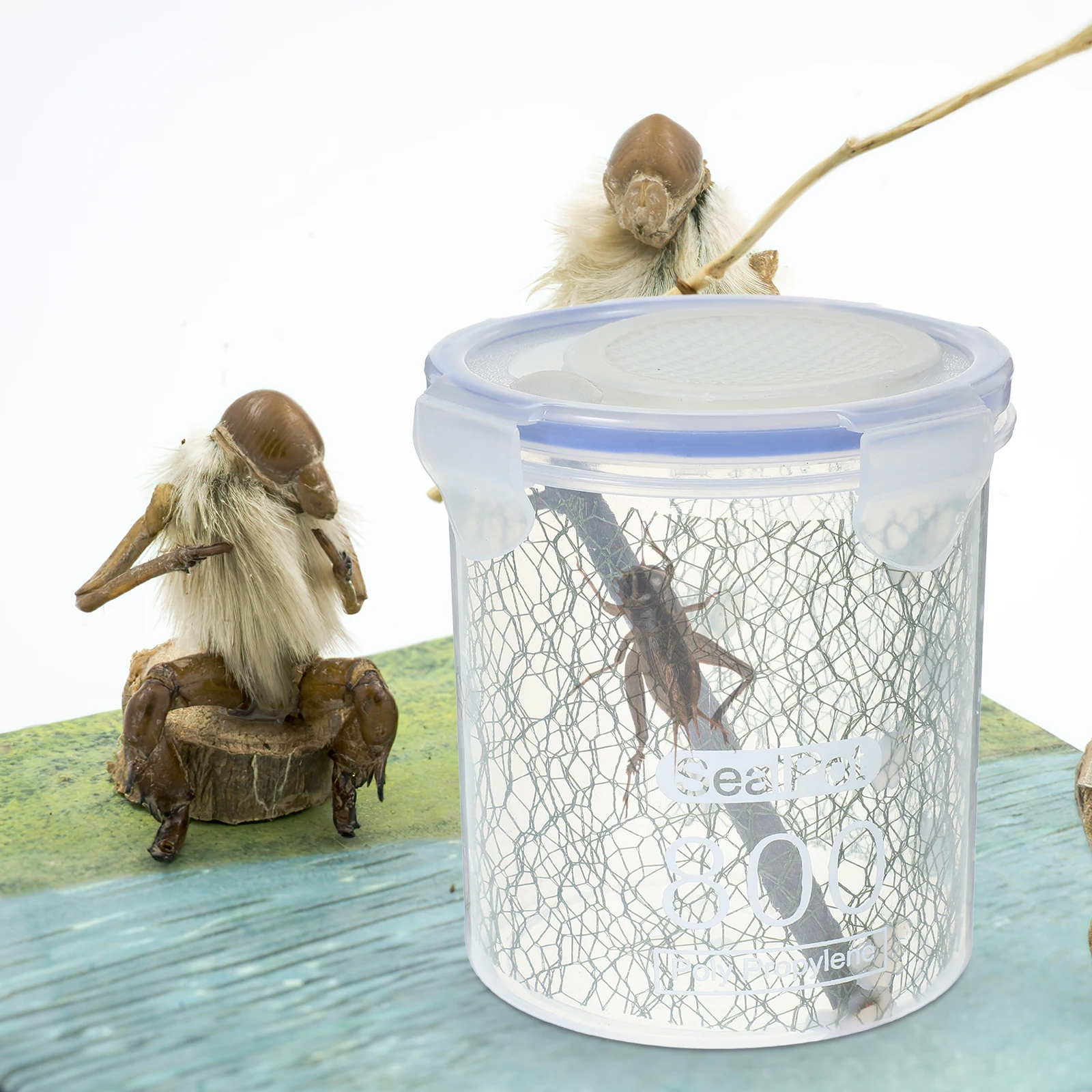 

1 Pc Mantis Breeding Box Reptile Terrarium Insect Case Ventilated Cage Spider Tarantula Scorpion Gecko Cricket Snail Frog Lizard