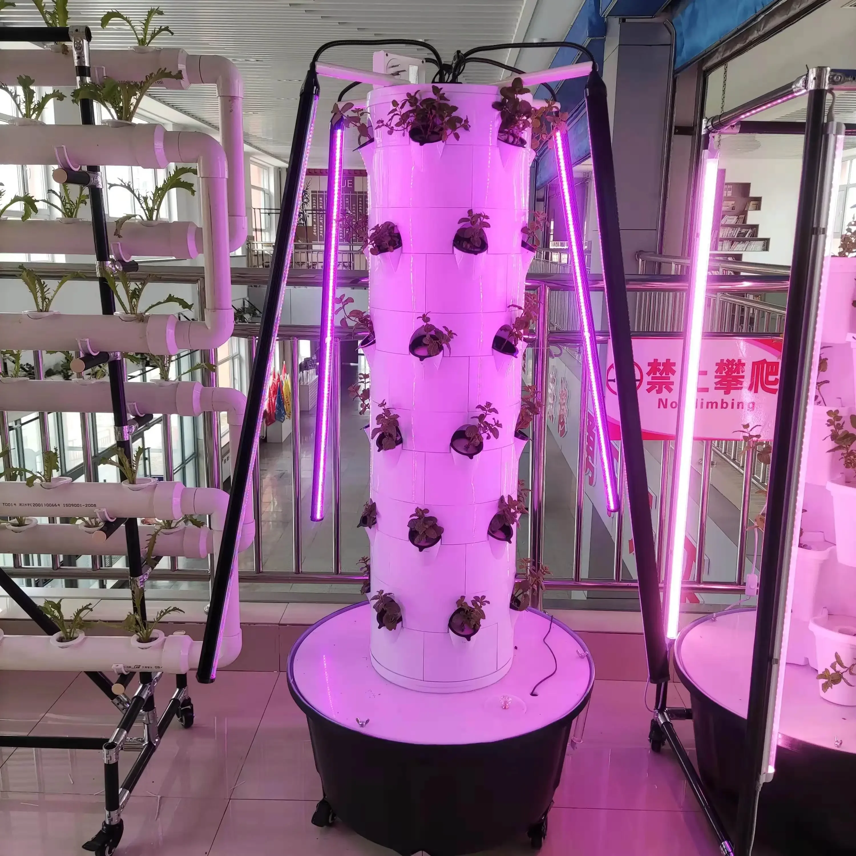 Vertical farm hydroponic system, strawberry and leafy vegetable rotation, with lights