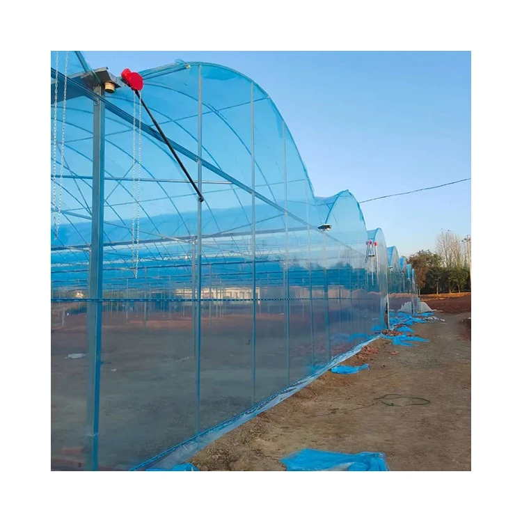 200 Micron PO Greenhouse Film 5-Layer UV Resistant Anti-Drip Double Layer Agricultural Plastic Cover for Tomato Plant Shed