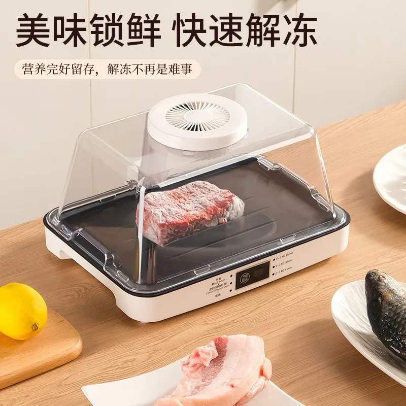Upgraded Defrosting Tray, Fast Food Defrosting Plate for Meat Steak, Kitchen Household Food Fresh Keeping Tool