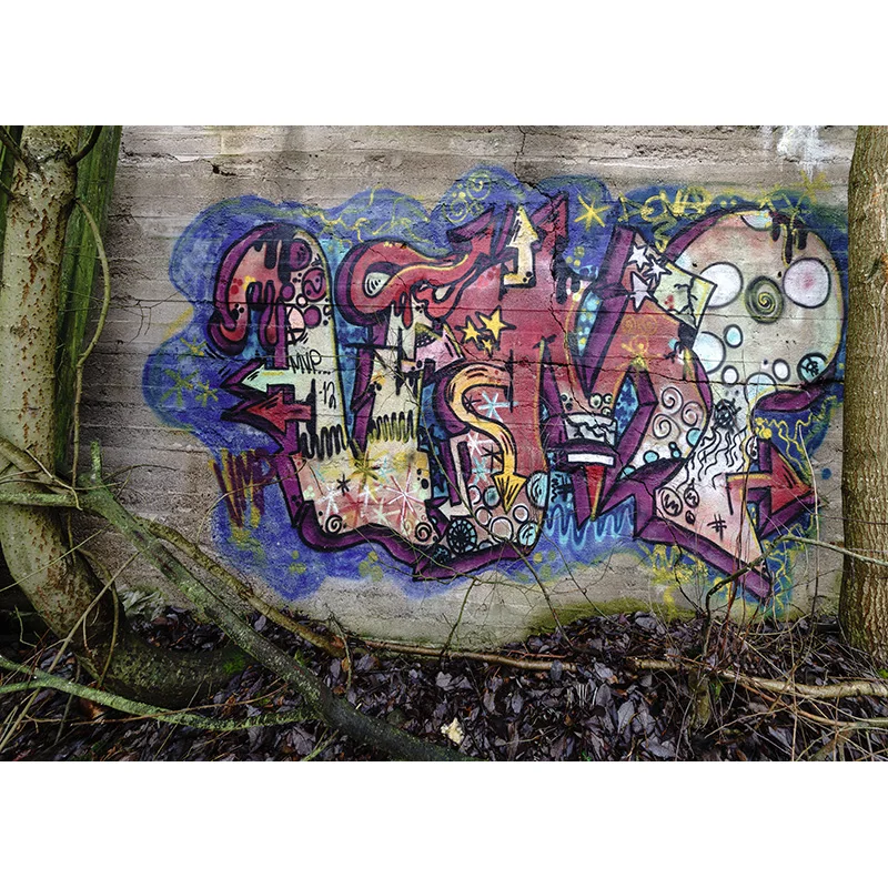 Vinyl Custom Graffiti Brick Wall Theme Photography Backdrops Baby Portrait Photo Background Studio Prop 21810TUY-02