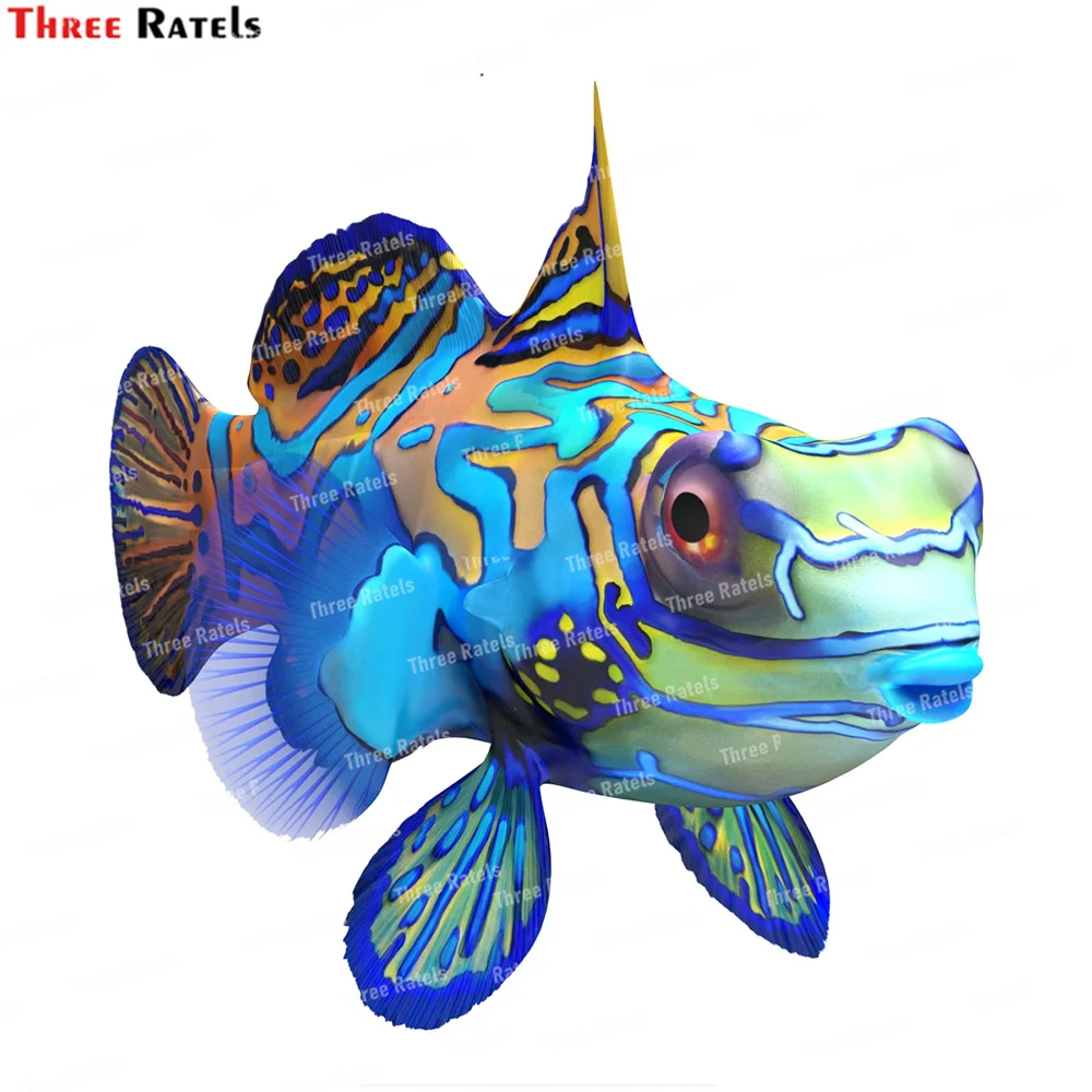Three Ratels K533 Coral Fishs Collection Personality Vinyl Waterproof Motorcycle Helmet Decoration Window Decal