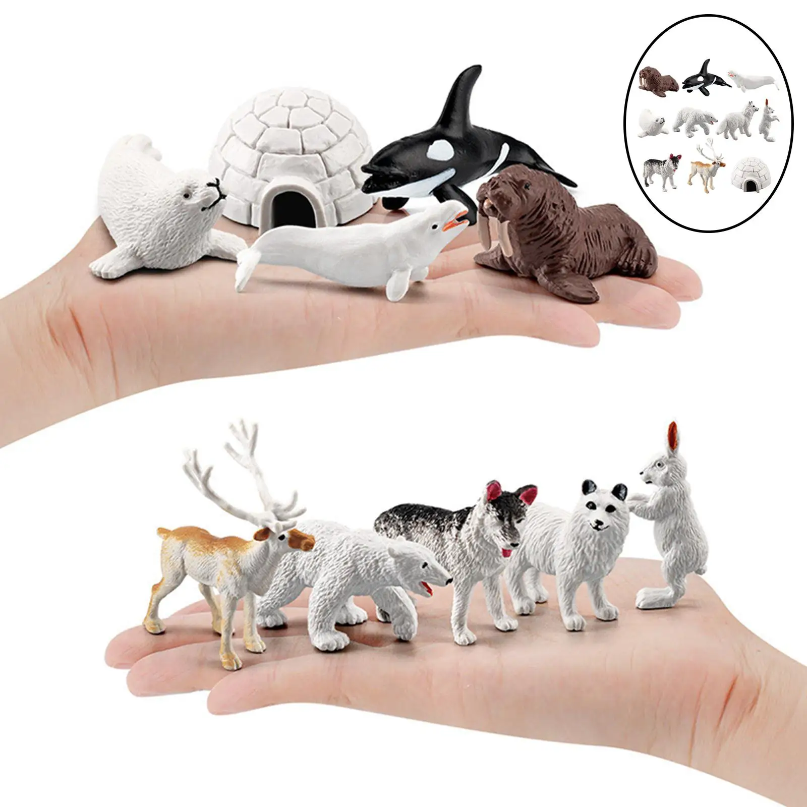 Forest Animals Figures Toys, Arctic Animal model, with Beluga, Seal, Husky ect. Birthday Gift for Kids