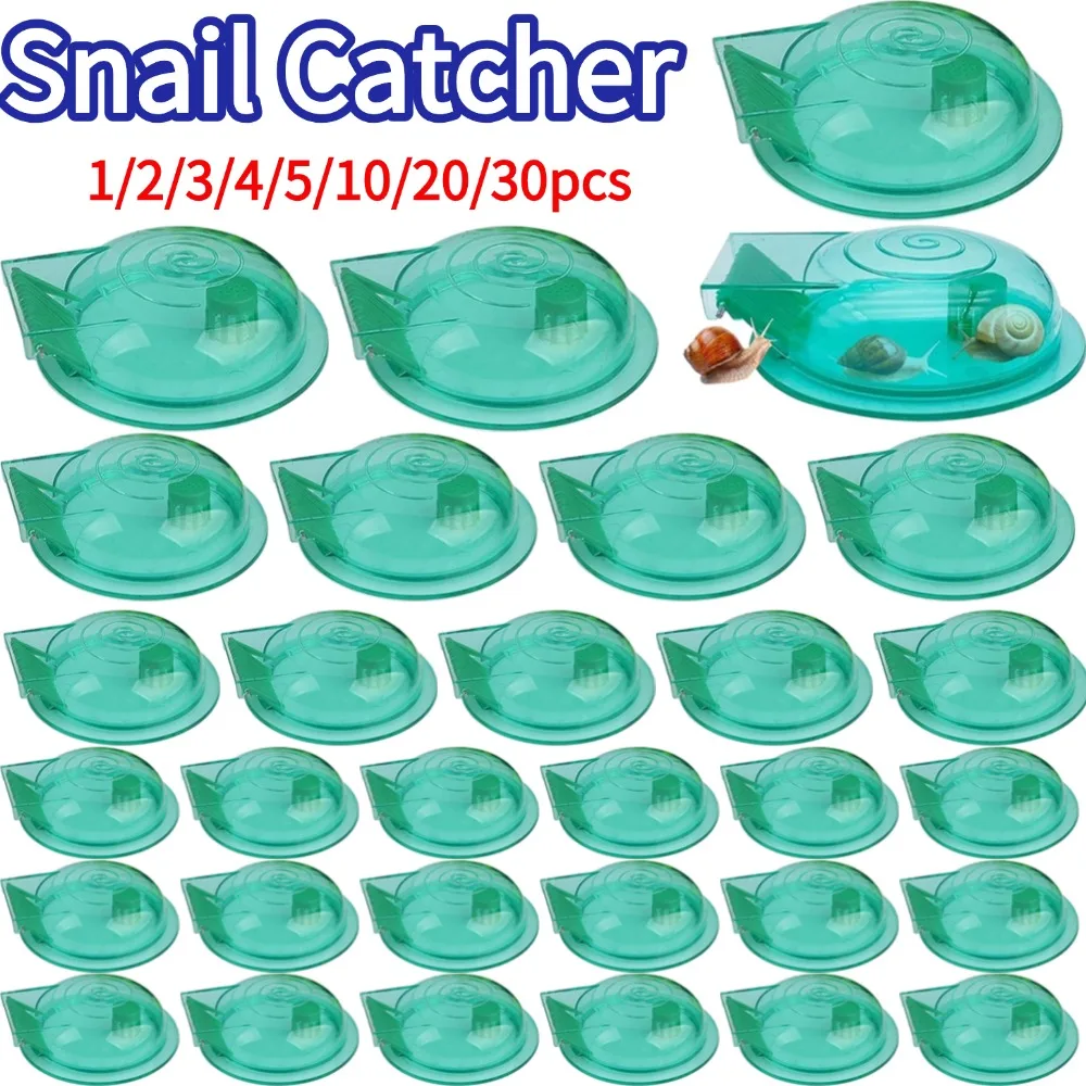 Aquarium Schneckenentferner Reinigungsmittel für Aquarium Wasser Gras Schneckenfänger Aquarium Schneckenentferner Reinigungsmittel