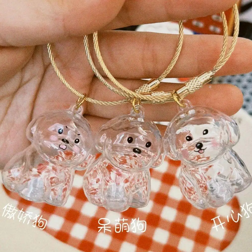 

New Dog Hair Storage Box Pet Hair Storage Container Capsule Transparent Keychain Pendant Bag Hanging Decor Home Display Souvenir