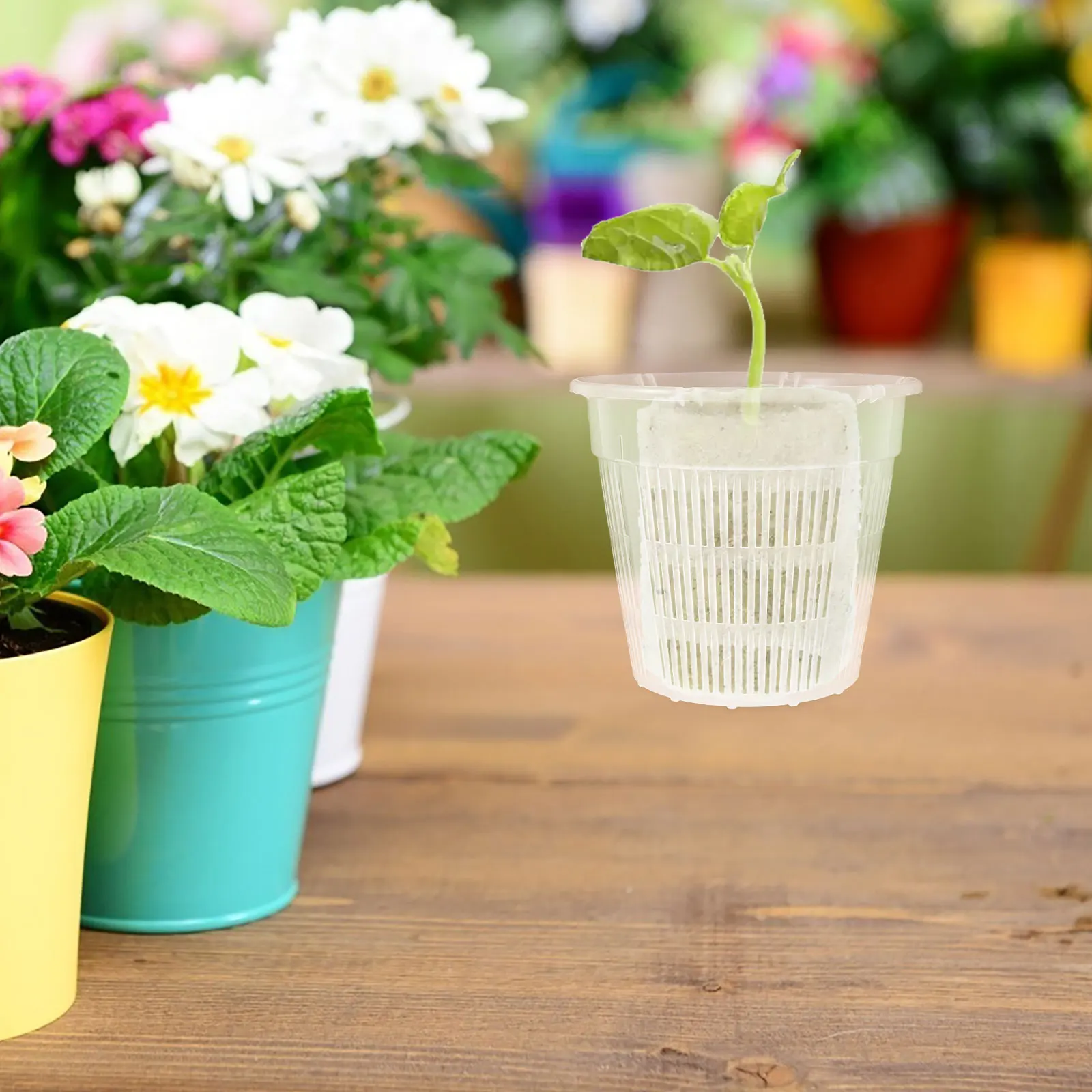 

4pcs Hydroponic Vegetable Growing Baskets Heavy Duty Slotted Net Pots Mesh Containers Floating Plant Kits Garden Balcony Indoor