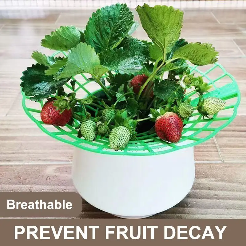 1Pcs Strawberry Plant Support Stand With Legs, Plastic Round Growing Rack To Keep Berries Clean & Prevent Rot