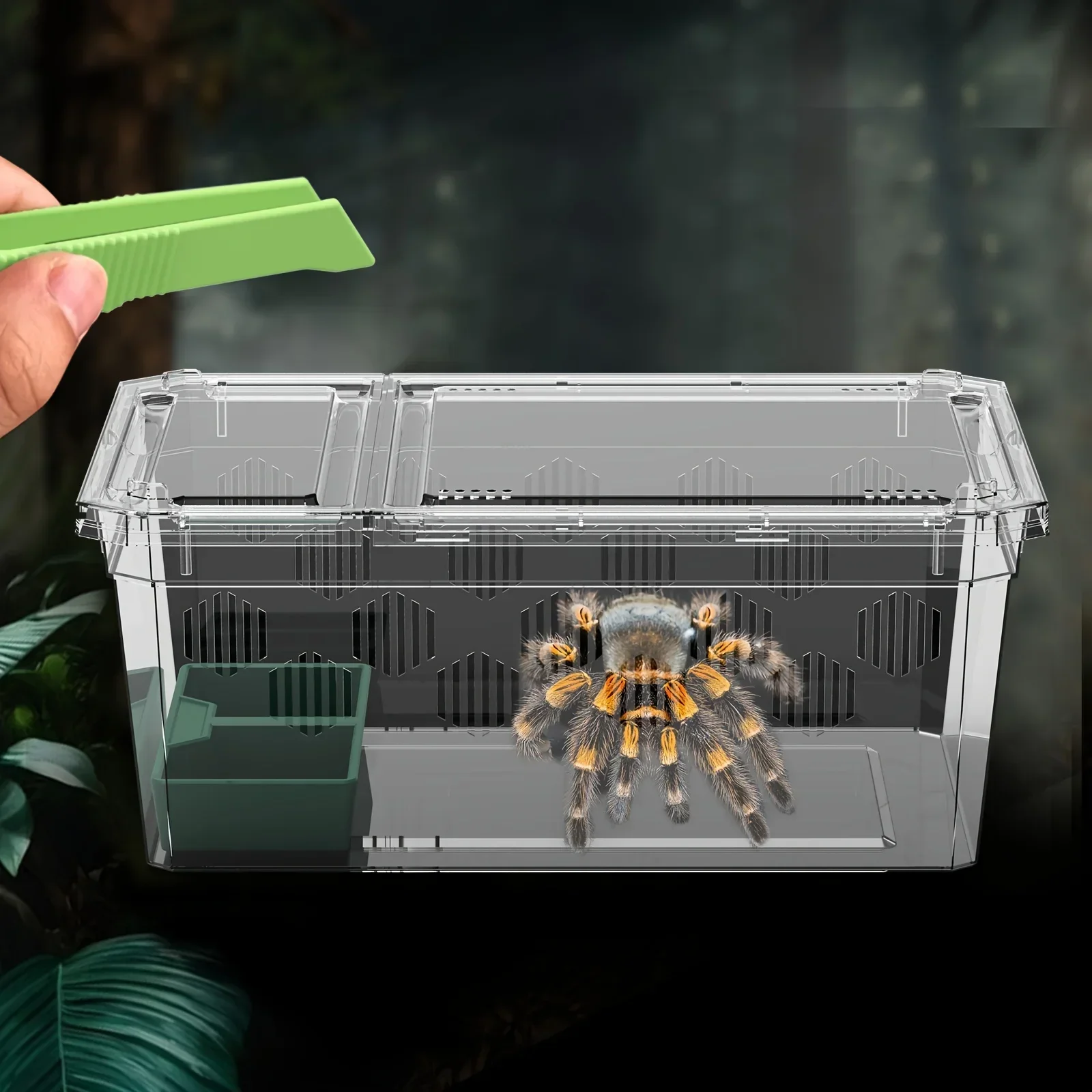 3-Piece Set Reptile Glass Container - Includes Plastic Shell with Vent, Feeding Tray and Tweezers for Spiders, Snakes, Etc.