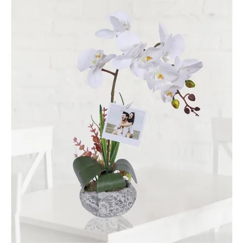 Bappay Decorative Pots Elegant Series Wet Orchid Artificial