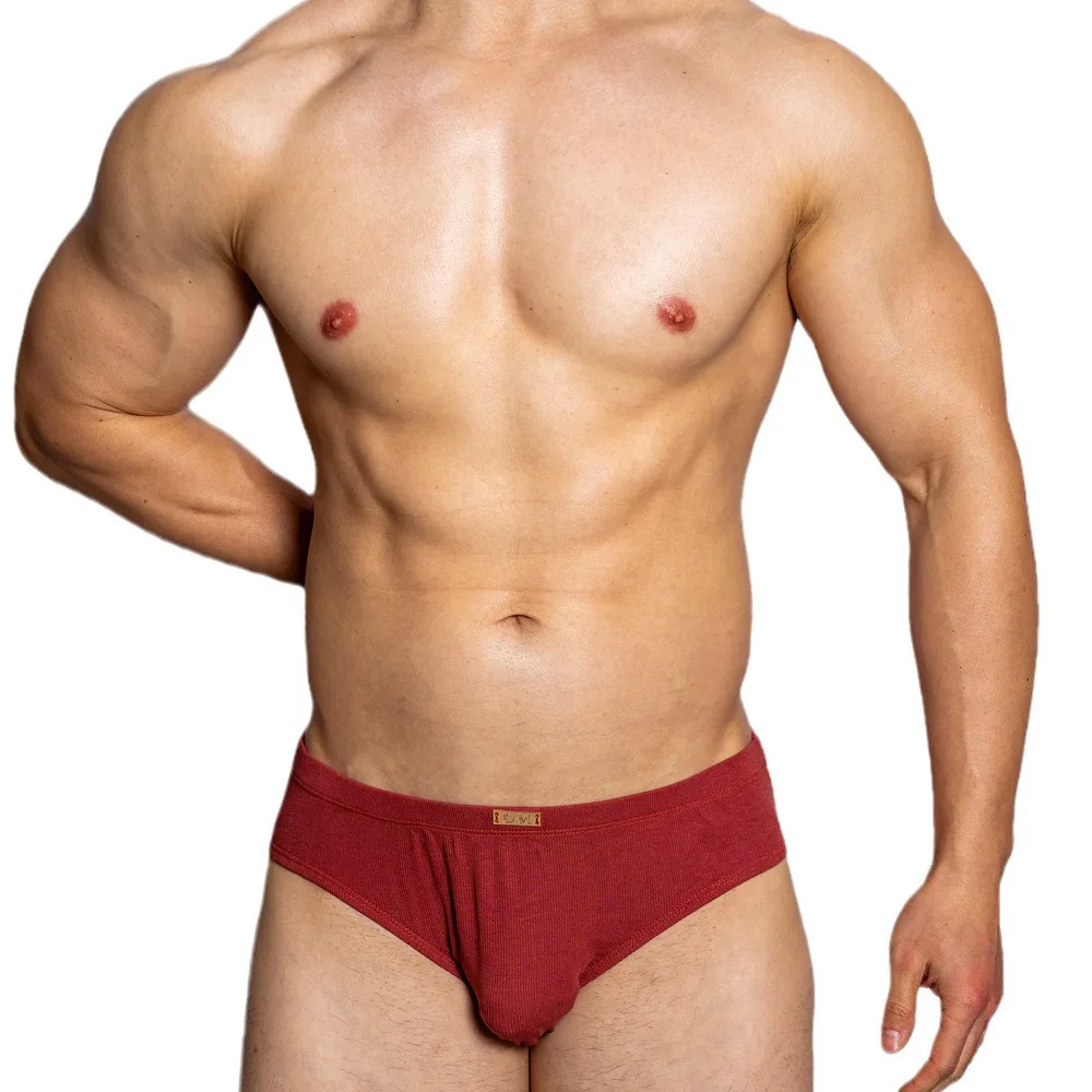 Men's Underwear Solid Color Modal Briefs Metal Brand Male Basic Wear Triangle Underpants