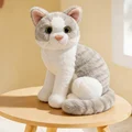 grey white cat sy