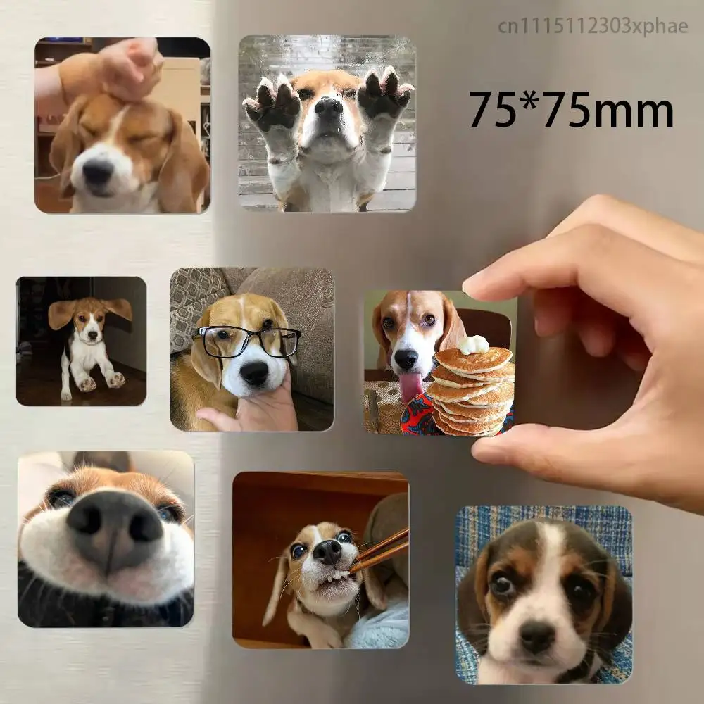 Cute Beagle Dog Meme Personalized Magnetic Durable Plastic Square Picture Surface Fridge Magnets
