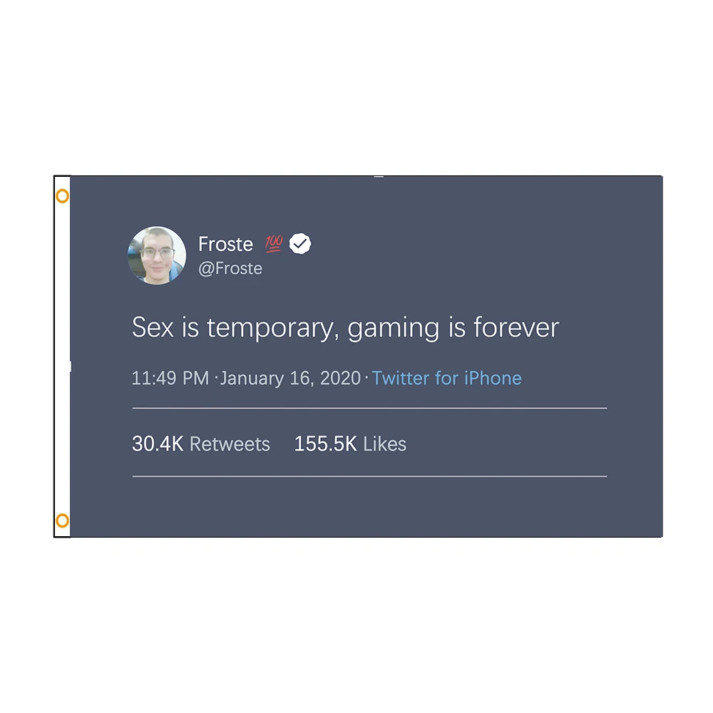 90x150cm 3X5FT Froste100 Sex Is Temporary, Gaming Is Forever  Flag Banner Decoration