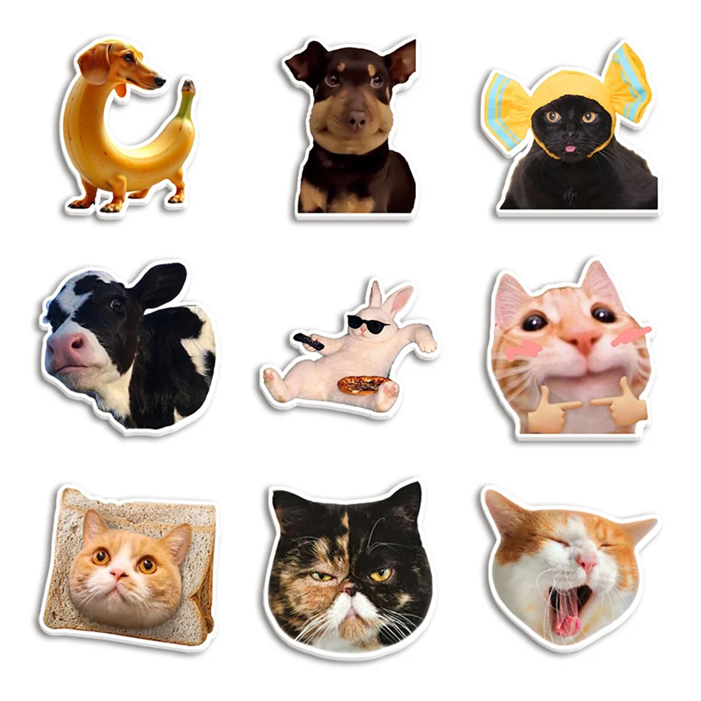 10pcs/lot Cute Cat Animal Face Resin Planar Transparent Glitter Acrylic Flatback for Badge Hair Bow Keychain Decoration