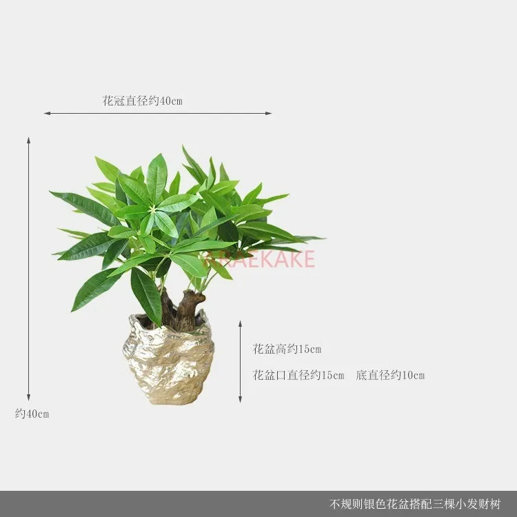 

офисные столы, зеленые растения, бонсай, горшечные растения, цветочные композиции, имитационные растения в китайском стиле, предметы интерьера,