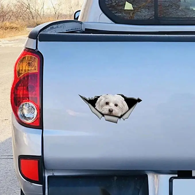 

Наклейка с мальтийской собакой, виниловая наклейка, окна кемпера, лобовое стекло, чемодан, бампер для ноутбука