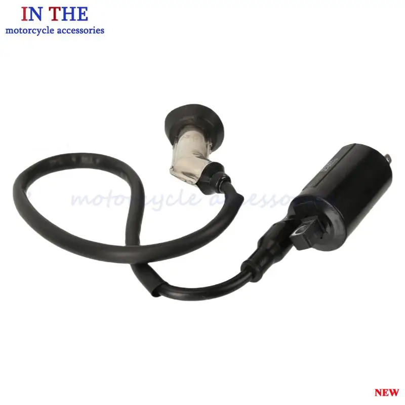 GY6 EFI Ignition Coil Designed for 169cc 170cc EFI Pedal Systems Compatible with Jonway GTX 250 EFI & 200 Tall Motorcycle