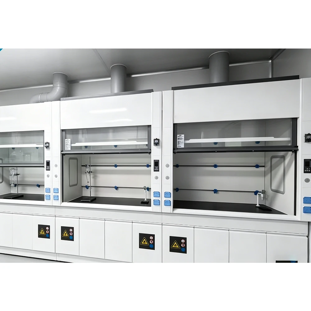 Heavy Duty Floor Standing Laboratory Fume Hood Corrosion Resistant Chemistry Laboratory Fume Cupboard