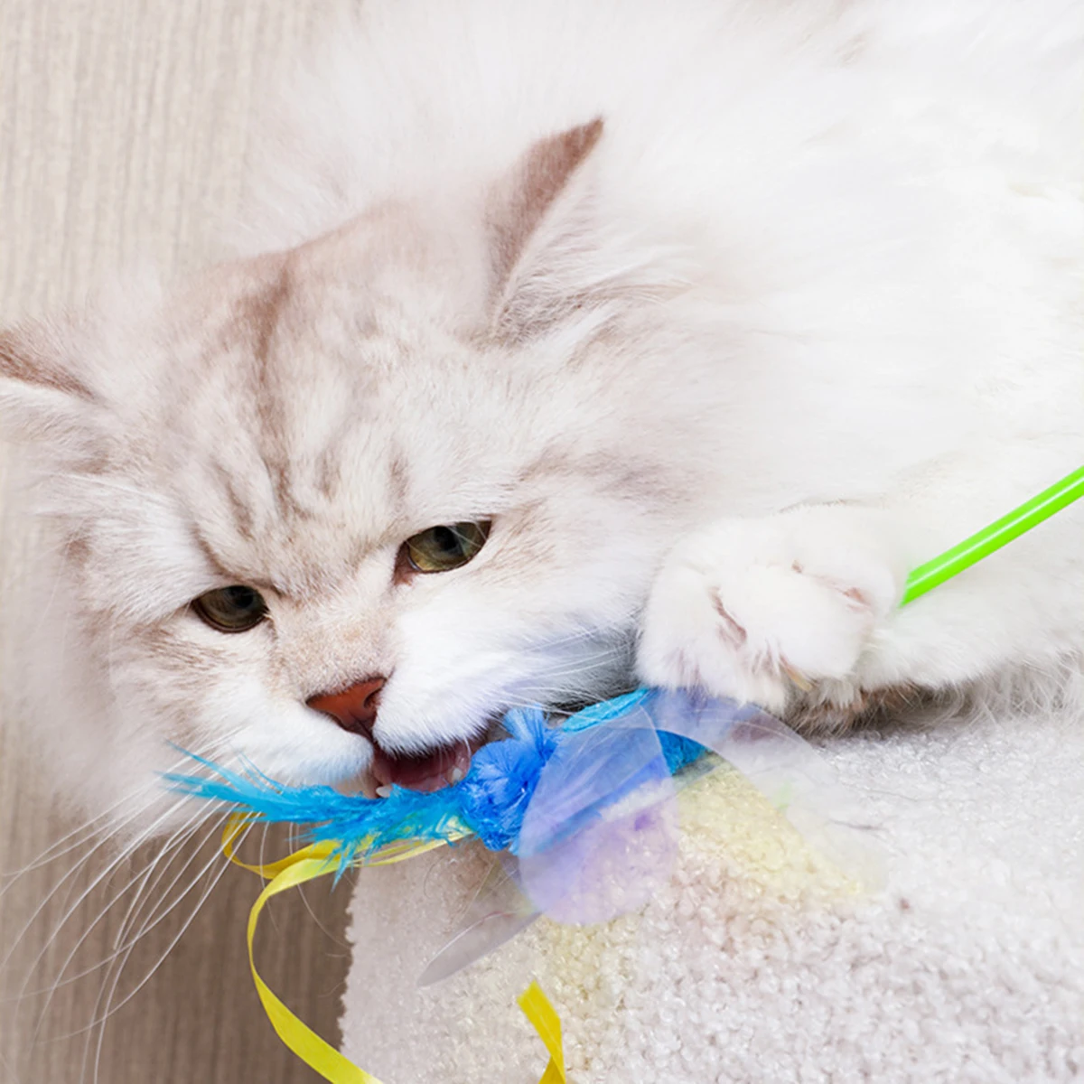 Cat Toys Fishing Rod Play with Cats Natural Materials Air Feather Toys Eliminate Exercise Insufficiency Fishing Rod