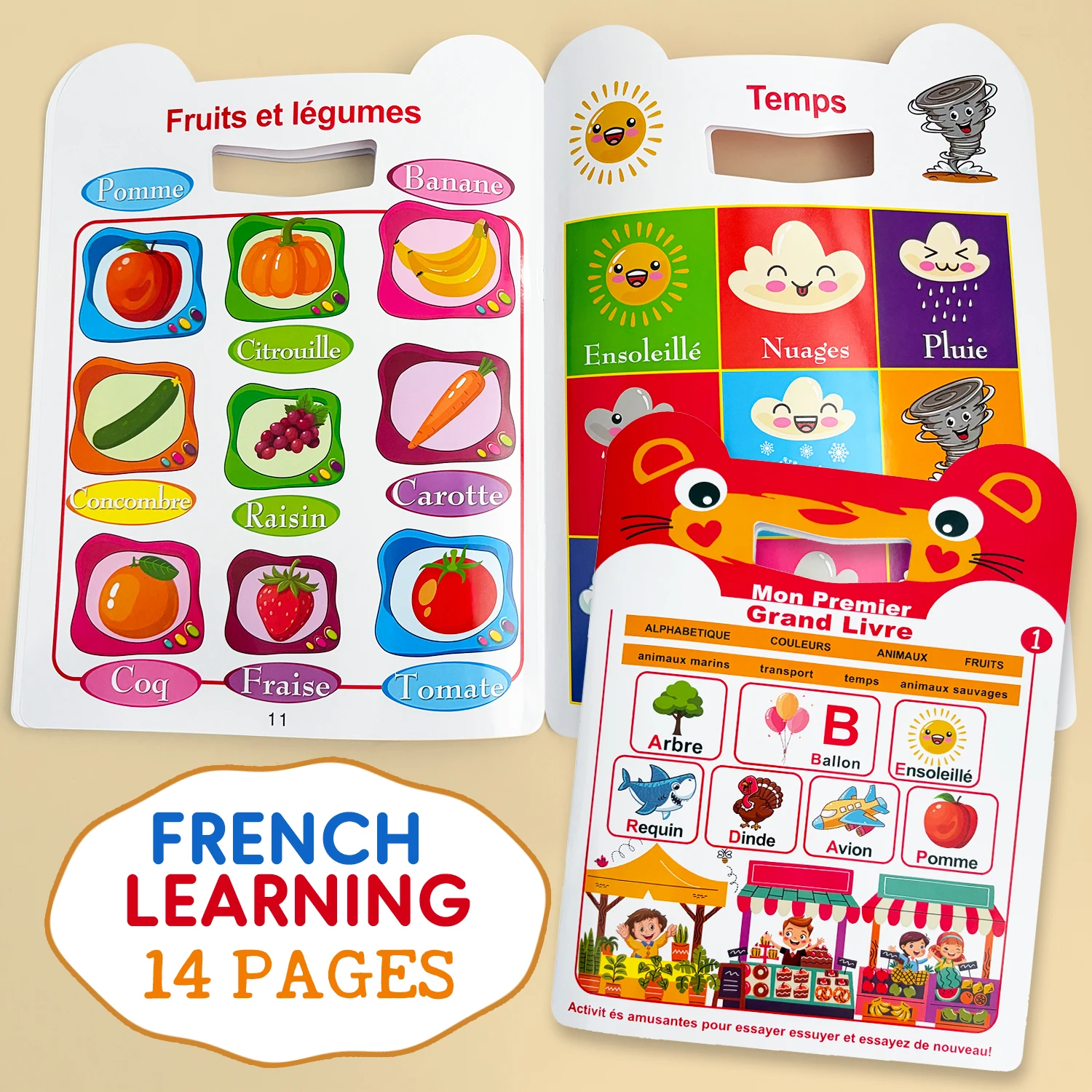 My First French Alphabet Learning Book Early Education Letter, Colors, Days, Months, Fruits and Animals Vocabulary Workbook