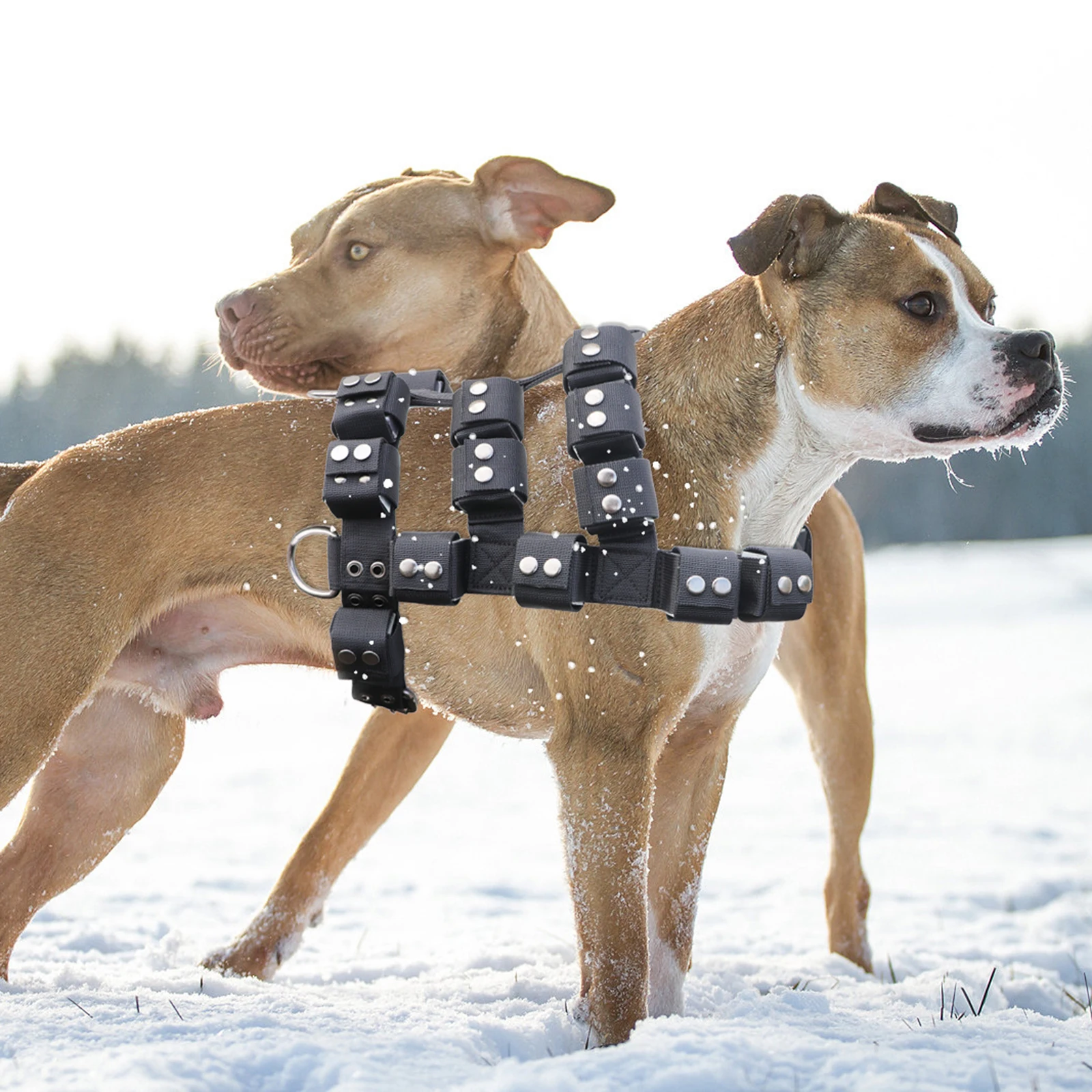 Dog Harness With Pouches Service Dog Weighted Vest Equipment For Large Medium Small Dogs/Pulling/Walking/Workout/Free Weight