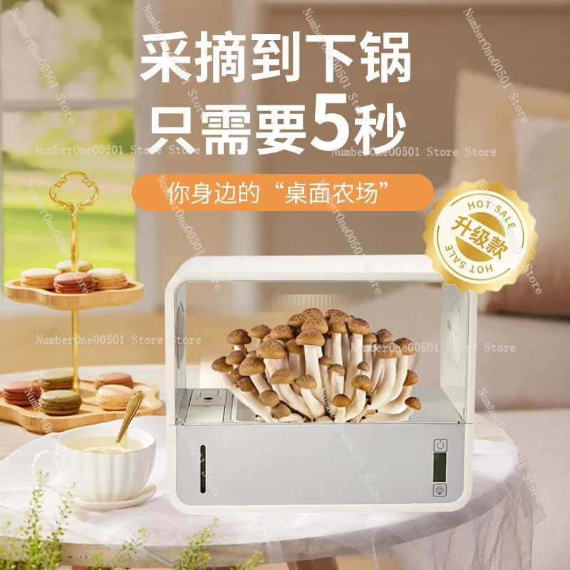 Smart Mushroom Grow Kit Indoor Cultivation Box with Mushroom Spawn Bags for Oyster Shiitake