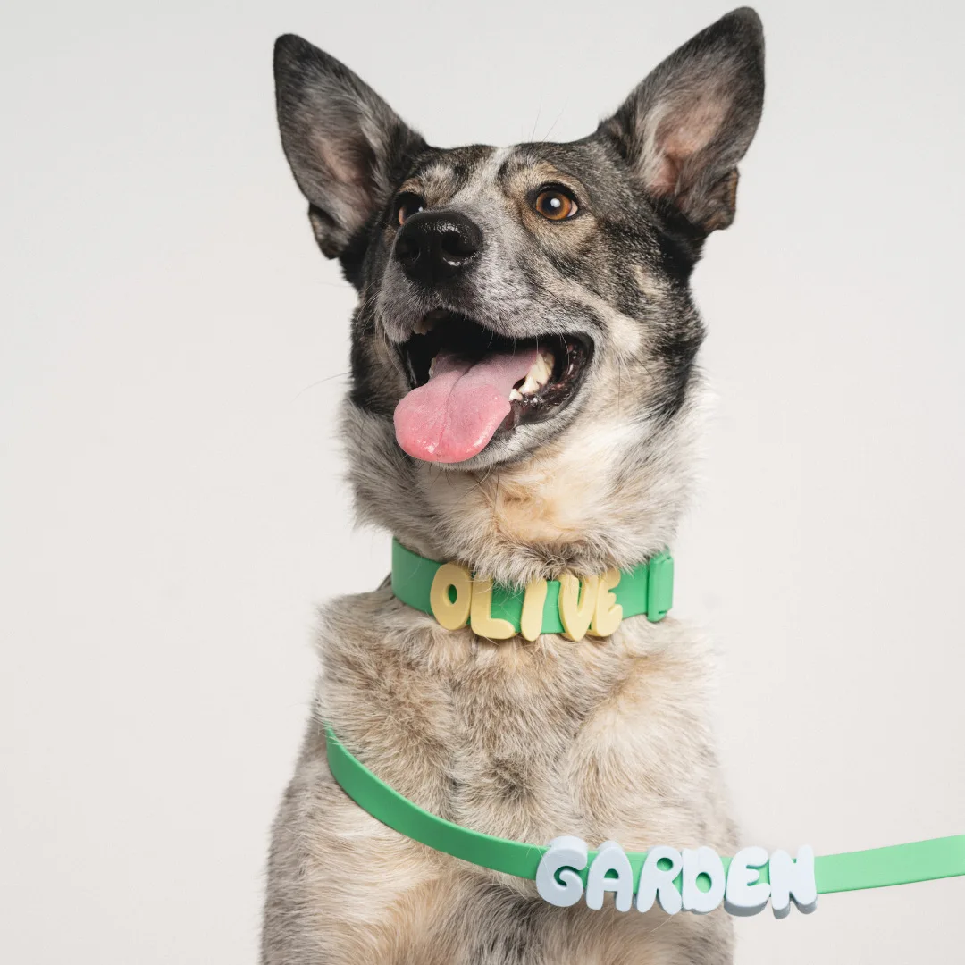 DIY Silicone Pet Name Letters, Custom Personalized Dog Cat Collar Name Charms, Colorful Removable Alphabet Pet Accessories