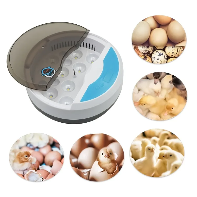 Newst Fully Automatic LED 9 Temperature Egg Incubator Humidity Poutry Brooder Farm Chick Quail Hatchery Machine Egg Incubator