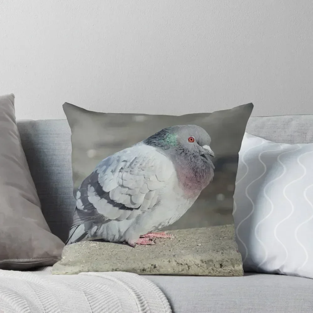 

The World's Most Beautiful Pigeon Throw Pillow Couch Cushions Christmas Covers Room decorating items Custom Cushion pillow