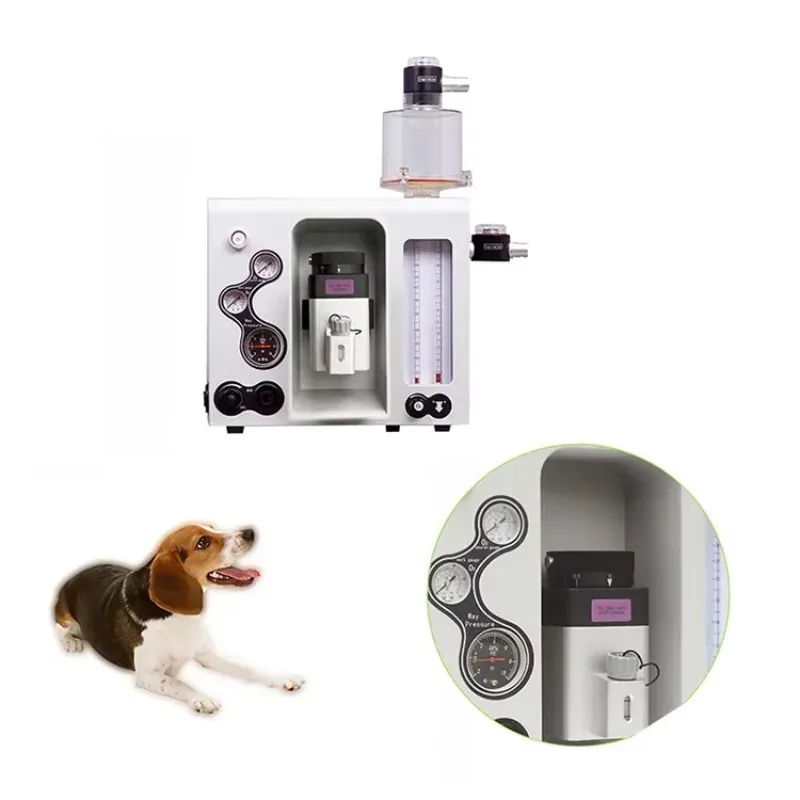 

Veterinary Anesthesia for Pet Surgical Medical Portable Anesthesia Machine
