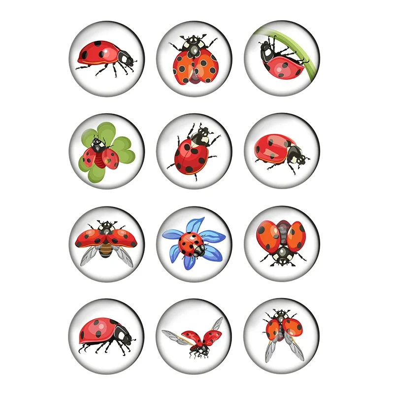 24pcs/lot Cartoon Cute Animal Red Ladybug Round Photo Glass Cabochon Demo Flat Back Making Findings Jewelry Accessories H020