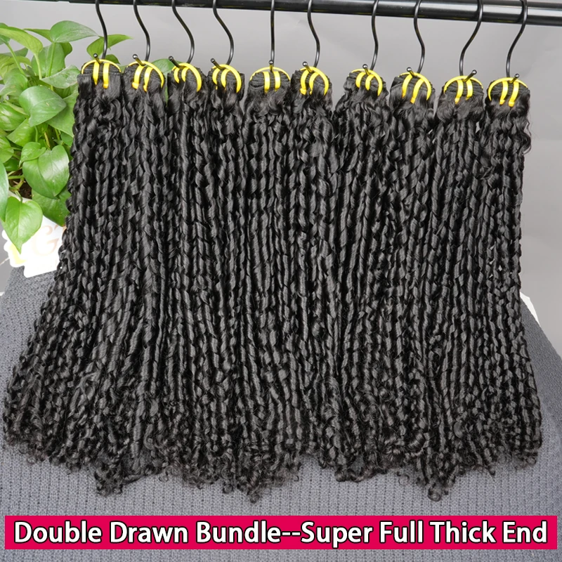 Double Drawn Pixie Curly Raw Human Hair Bundle Deals Burmese Pixie Curls Human Hair Extensions Vietnamese Virgin Hair Full Thick