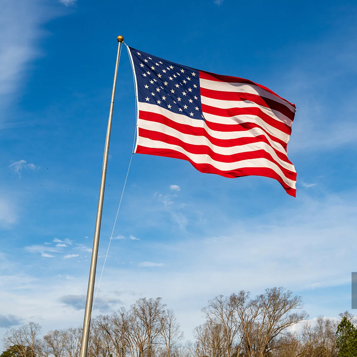 

Flagpole Rope 6Mm Diameter 11.5m Nylon Braided High Toughness Weather Resistant for Flag Halyard Camping Clothes Drying