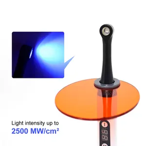 12 Hauptverkaufszahnarzt Luminaria - &#8470;12