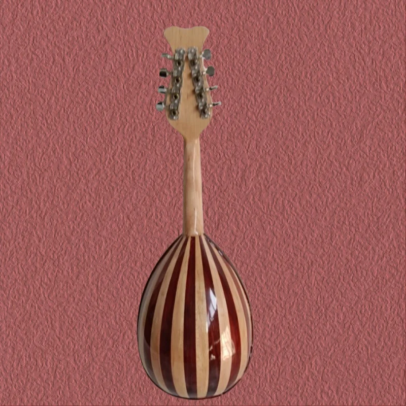 Ladybug-Style Octagonal Mandolin Piano With 8-Wire Steel Fingerboard Ebony Back/Side Maple Material Packed In A Leather Box