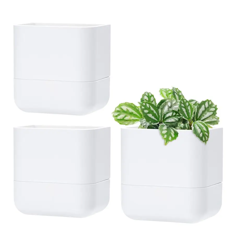 

Настенный самополивающийся горшок Vine 6,5 дюймов для комнатных растений и трав, современный подвесной кашпо для подоконников, ванных комнат