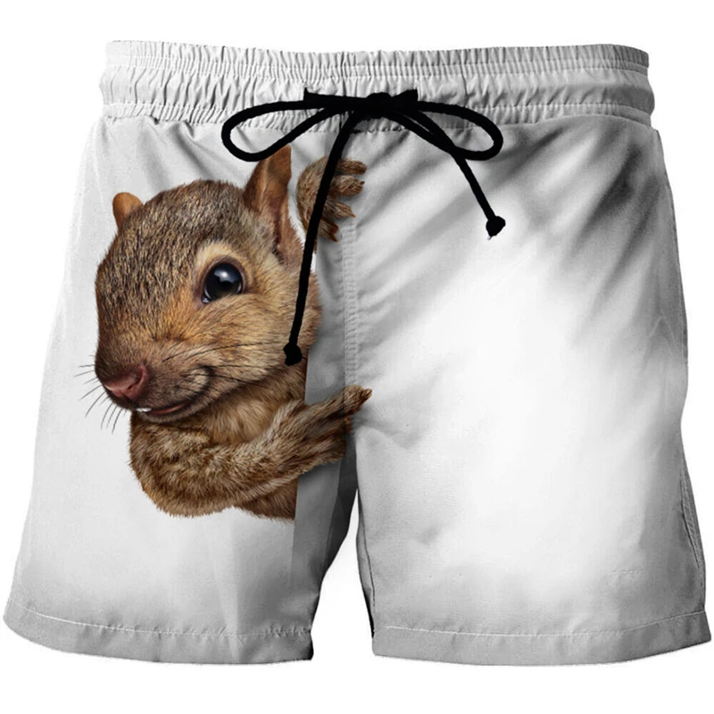 

Animal Graphic Beach Shorts Men 3D Pattern Squirrel Beach Shorts Men Women Quick Dry Short Pants Cute Pet Bottoms Lovely Pants