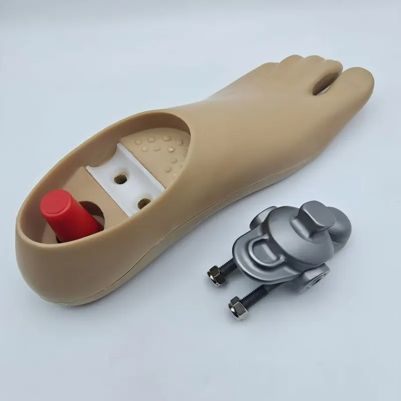 22~28 Double hole mobile ankle prosthetic foot plate, prosthetic foot plate manufacturer, polyurethane biaxial foot and adapter