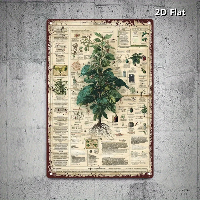 2D Flat, 2D Flat 1pc Botanical Reference PosterAluminum Signs, Detail Oriented Aluminum plate Wall Art Print, Plant Diagram Alum