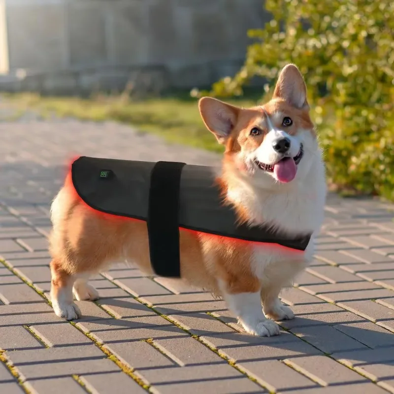 Home Use LED Red Infrared Heating Wrap Adjustable Body Leg Muscle Soothing Belt Warm Light Relax Care Band for Pets Dogs Cats